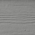 Gray Slate