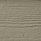 Monterey Taupe