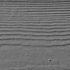 Night Gray